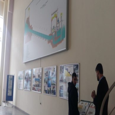 marko-1